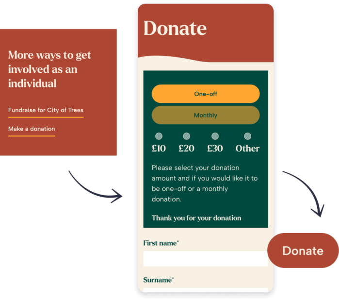 Screenshot of Donate screen from City of Trees website